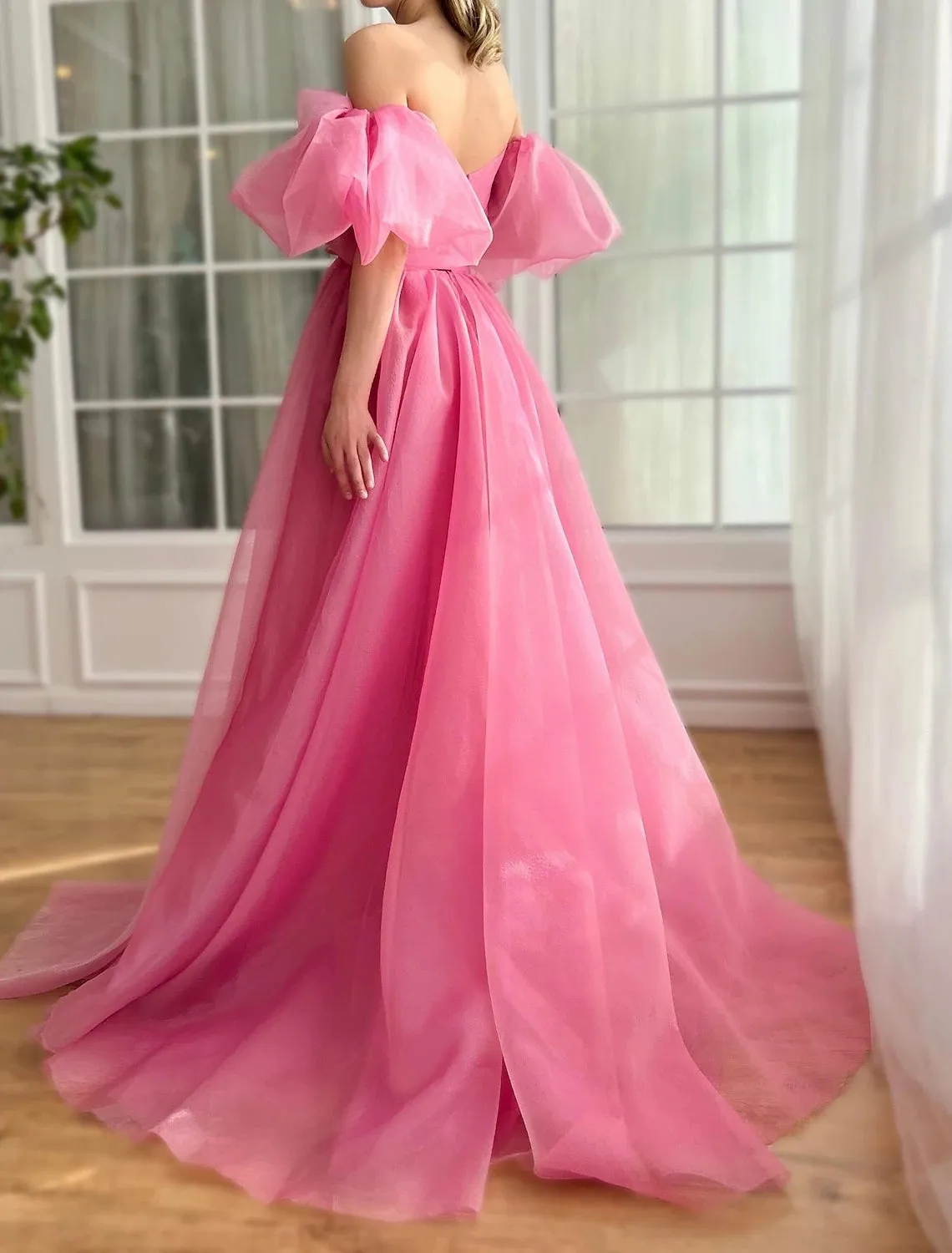 Pink Ball Gown A-Line Prom Dresses Princess Dress Prom Birthday Court Train Short Sleeve Tulle Backless with Ruched