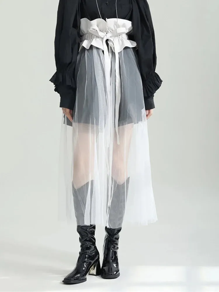 Rufus Sheer Tulle Skirt