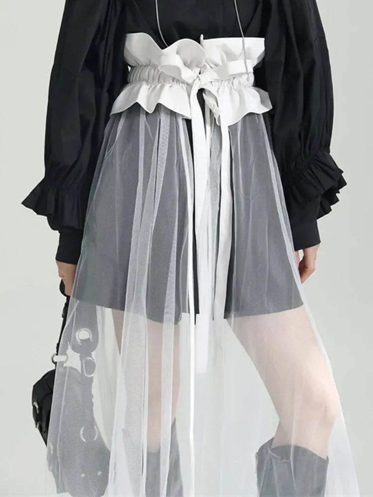 Rufus Sheer Tulle Skirt